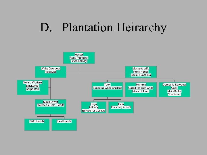 D. Plantation Heirarchy 