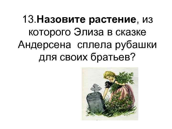 13. Назовите растение, из которого Элиза в сказке Андерсена сплела рубашки для своих братьев?