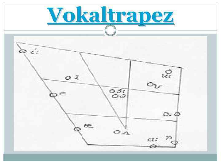 Vokaltrapez 