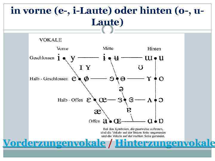 in vorne (e-, i-Laute) oder hinten (o-, u. Laute) Vorderzungenvokale / Hinterzungenvokale 