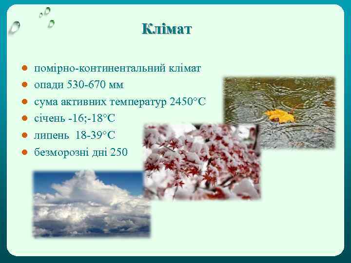 Клімат ● ● ● помірно-континентальний клімат опади 530 -670 мм сума активних температур 2450°С