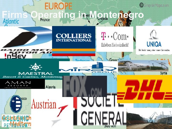 Firms Operating in Montenegro 