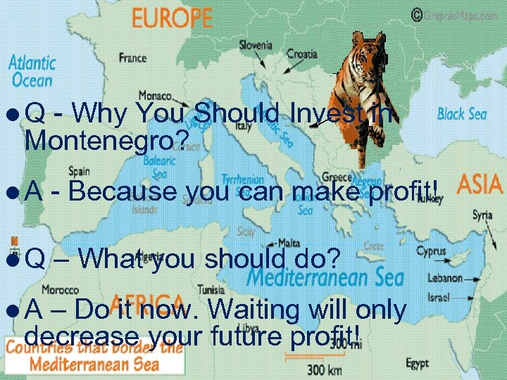 l. Q - Why You Should Invest in Montenegro? l. A - Because you
