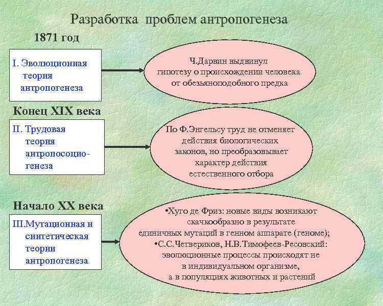 Какая из представленных теорий. Трудовая концепция антропогенеза. Проблемы в теории антропогенеза.