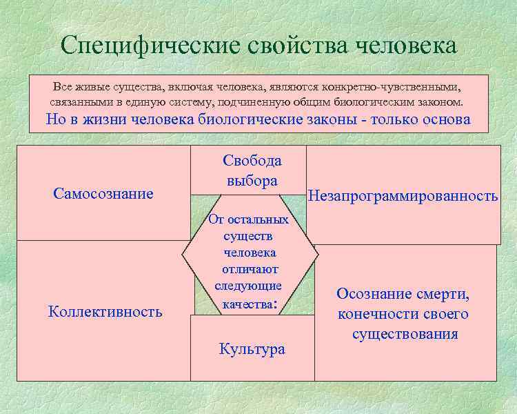 Специфические свойства человека Все живые существа, включая человека, являются конкретно-чувственными, связанными в единую систему,