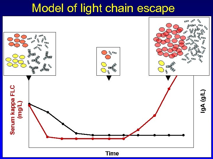 Ig. A (g/L) Serum kappa FLC (mg/L) Model of light chain escape Time 