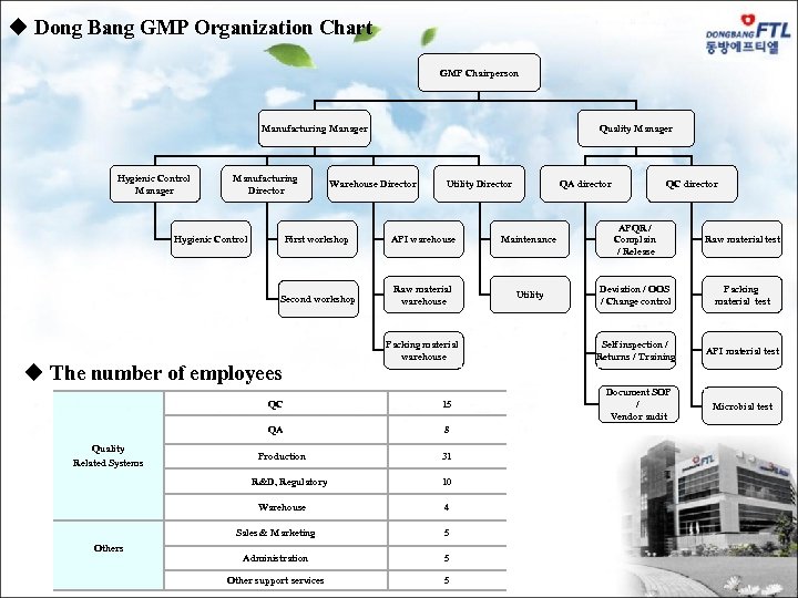 GMP Organization Chart