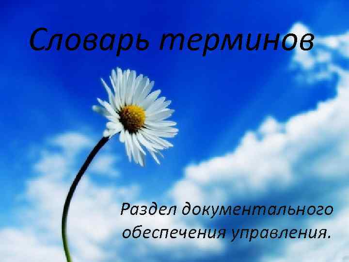 Словарь терминов Раздел документального обеспечения управления. 