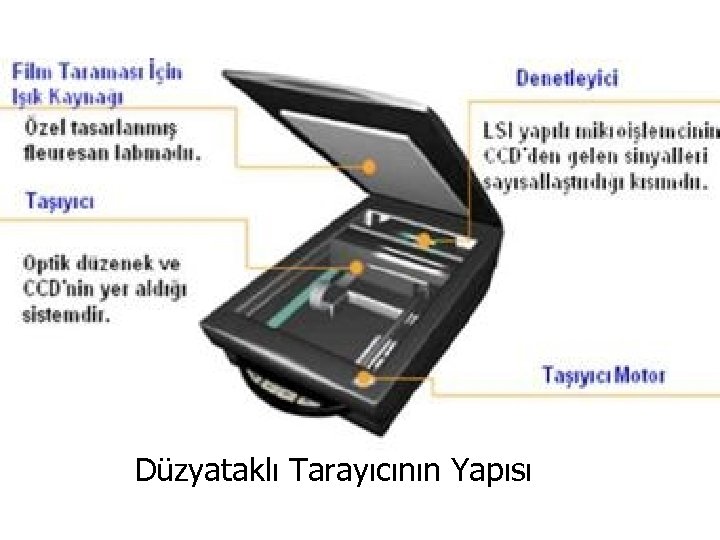 Düzyataklı Tarayıcının Yapısı 