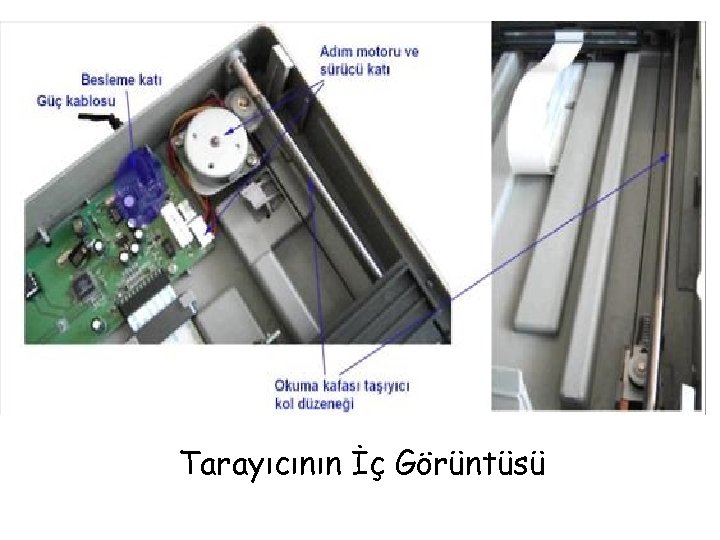 Tarayıcının İç Görüntüsü 