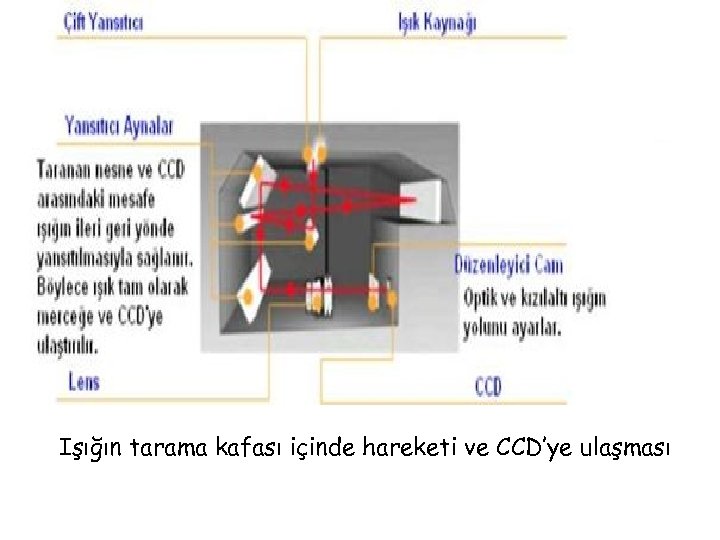 Işığın tarama kafası içinde hareketi ve CCD’ye ulaşması 