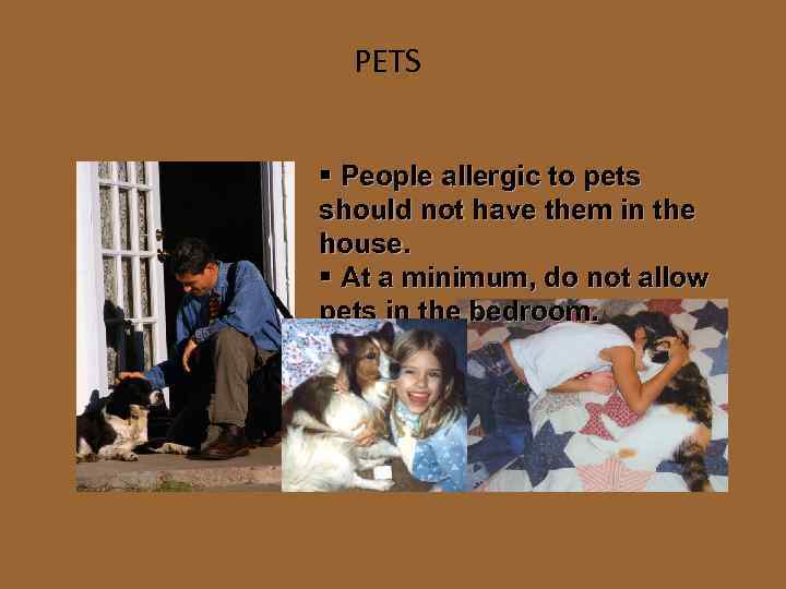 PETS § People allergic to pets should not have them in the house. §