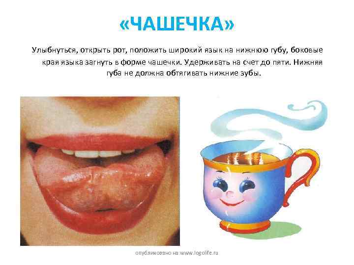  «ЧАШЕЧКА» Улыбнуться, открыть рот, положить широкий язык на нижнюю губу, боковые края языка