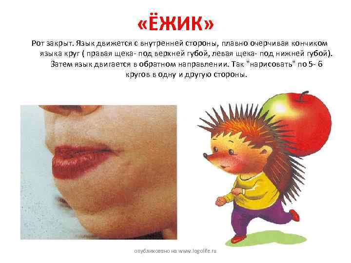  «ЁЖИК» Рот закрыт. Язык движется с внутренней стороны, плавно очерчивая кончиком языка круг