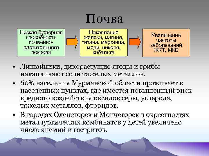 Почва Низкая буферная способность почвеннорастительного покрова Накопление железа, магния, титана, марганца, меди, никеля, кобальта