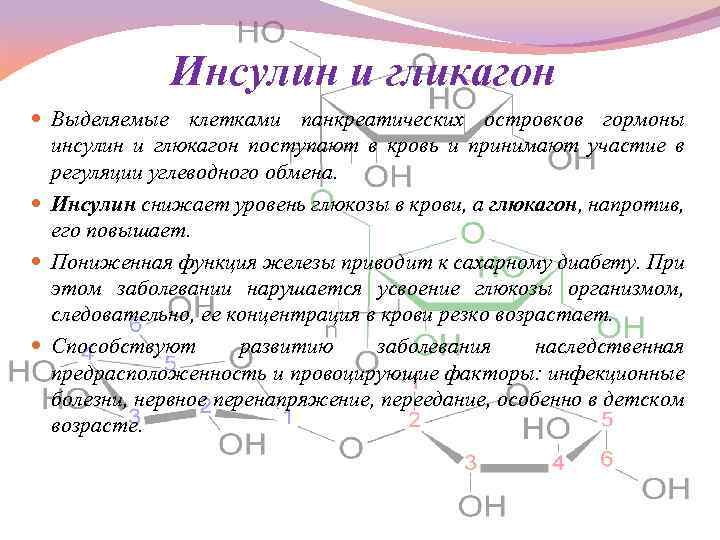 Синтез инсулина и глюкагона. Инсулин и глюкагон взаимосвязь. Инсулин и глюкагон функции. Гормоны инсулин и глюкагон. Роль инсулина и глюкагона.