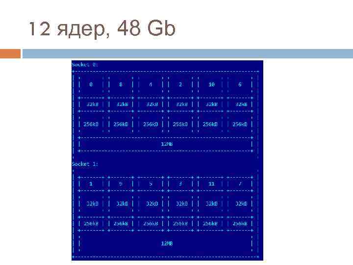 12 ядер, 48 Gb 