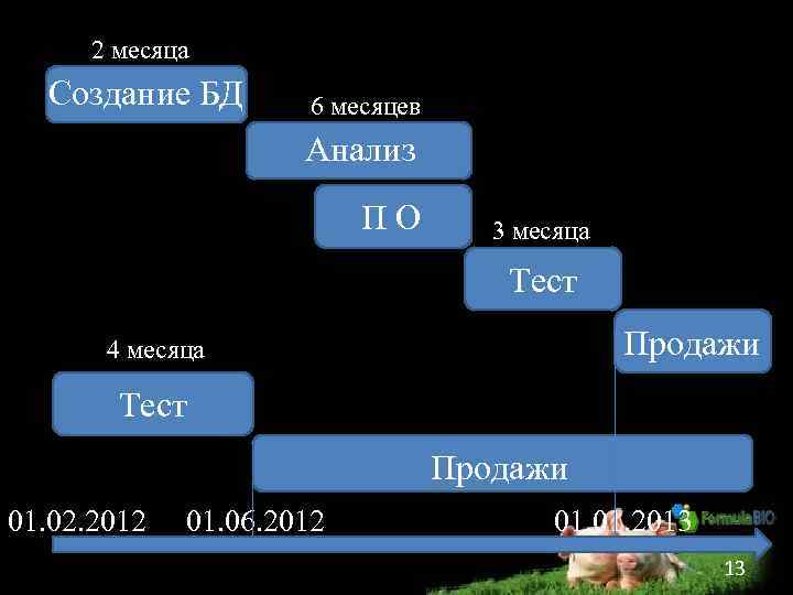 2 месяца Создание БД 6 месяцев Анализ ПО 3 месяца Тест Продажи 4 месяца