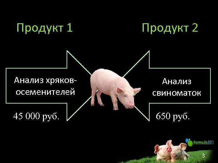 Продукт 1 Анализ хряковосеменителей 45 000 руб. Продукт 2 Анализ свиноматок 650 руб. 3