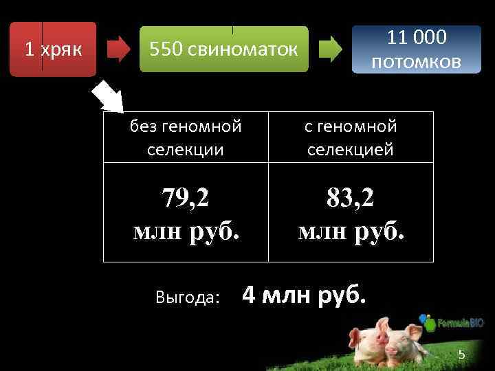 1 хряк 11 000 потомков 550 свиноматок без геномной селекции с геномной селекцией 79,