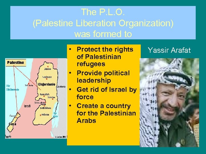 The P. L. O. (Palestine Liberation Organization) was formed to • Protect the rights