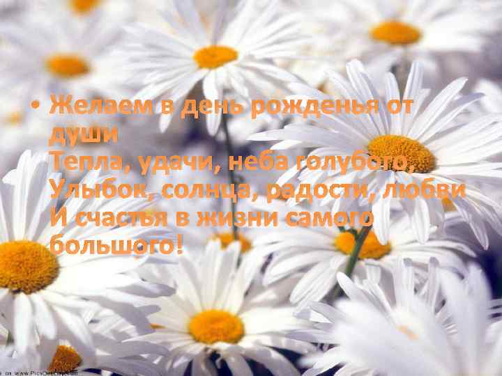  • Желаем в день рожденья от души Тепла, удачи, неба голубого, Улыбок, солнца,
