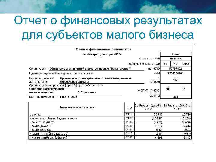 Отчет о финансовых результатах для субъектов малого бизнеса 