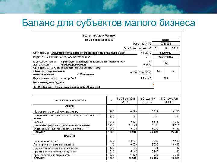 Баланс для субъектов малого бизнеса 