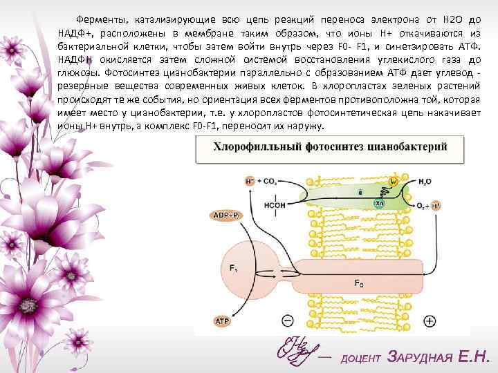 Проект ионы скулачева