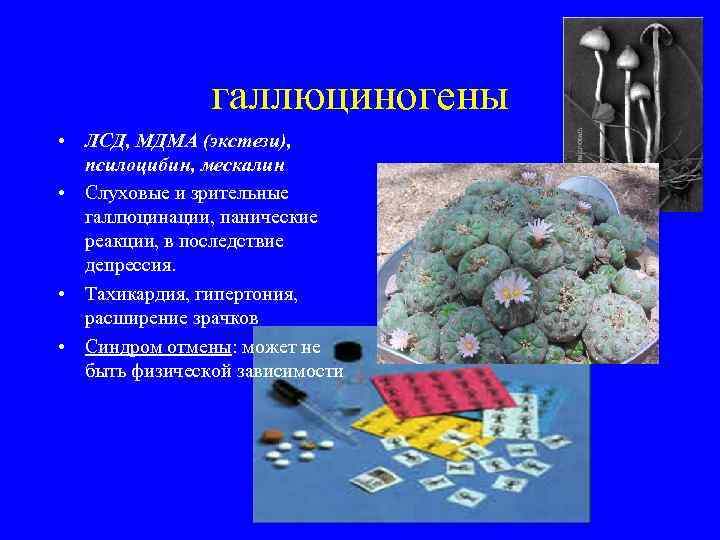 галлюциногены • ЛСД, МДМА (экстези), псилоцибин, мескалин • Слуховые и зрительные галлюцинации, панические реакции,