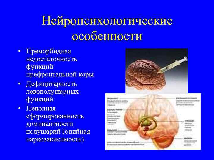 Нейропсихологические особенности • Преморбидная недостаточность функций префронтальной коры • Дефицитарность левополушарных функций • Неполная