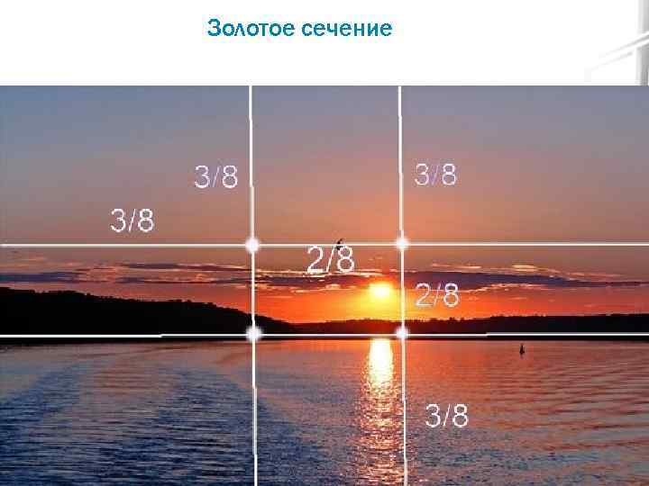 Золотое сечение 