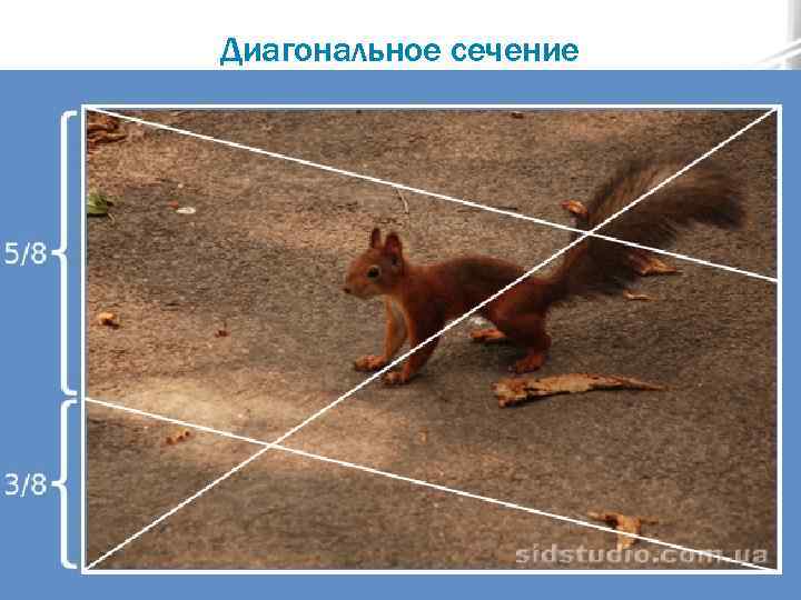 Диагональное сечение 