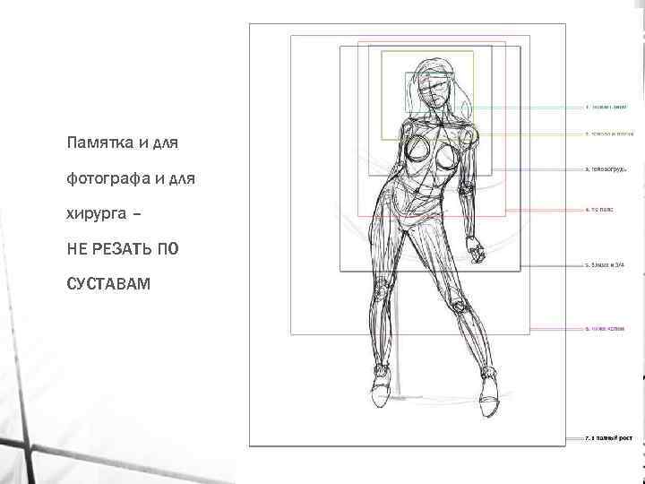 Памятка и для фотографа и для хирурга – НЕ РЕЗАТЬ ПО СУСТАВАМ 