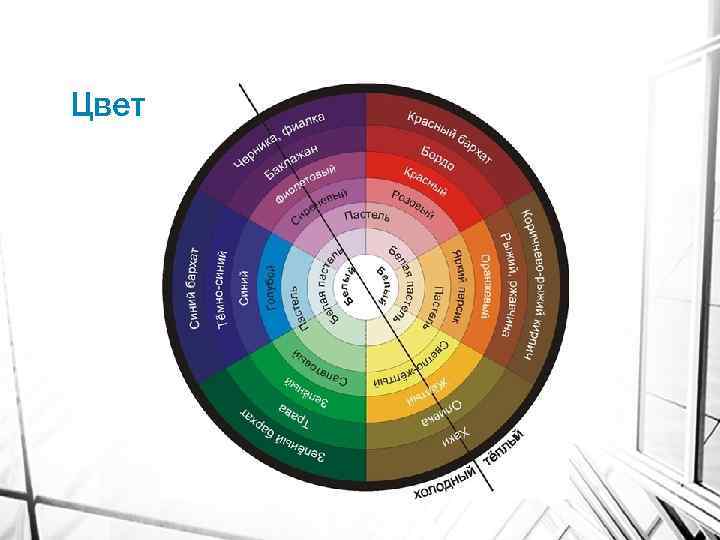 Цвет 