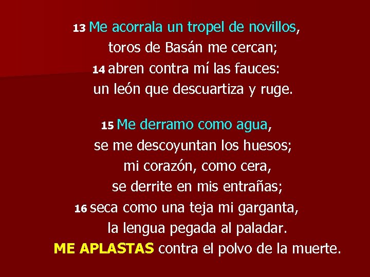13 Me acorrala un tropel de novillos, toros de Basán me cercan; 14 abren