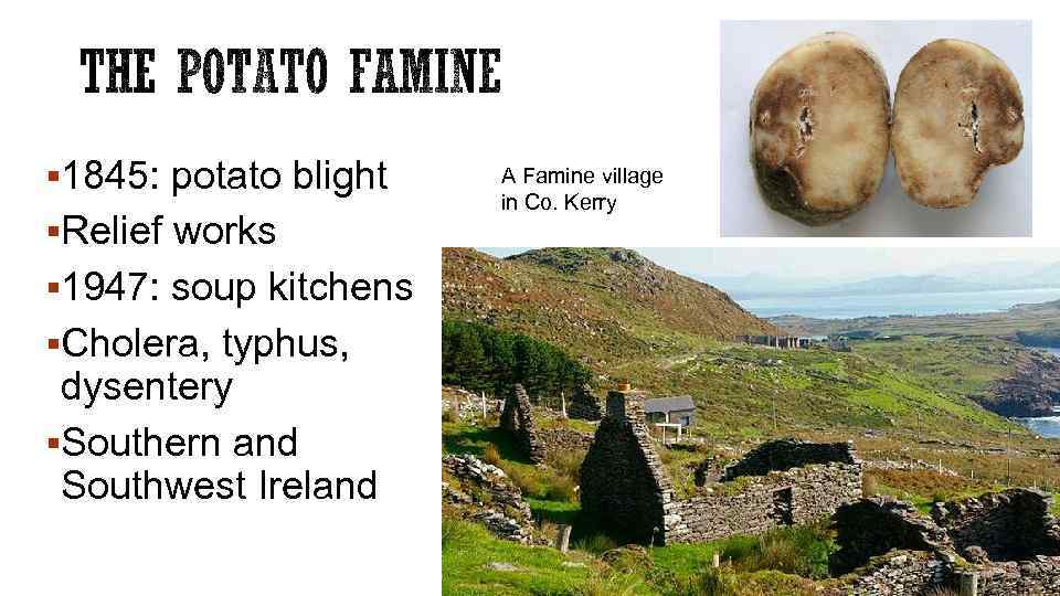 § 1845: potato blight §Relief works § 1947: soup kitchens §Cholera, typhus, dysentery §Southern