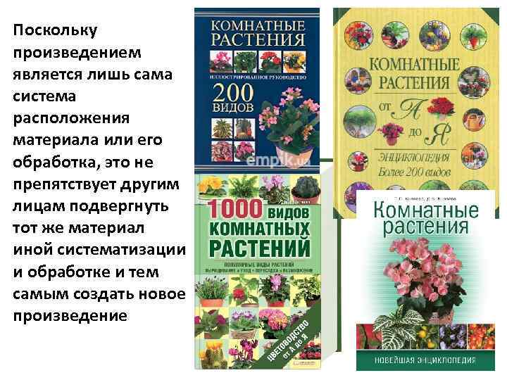 Поскольку произведением является лишь сама система расположения материала или его обработка, это не препятствует