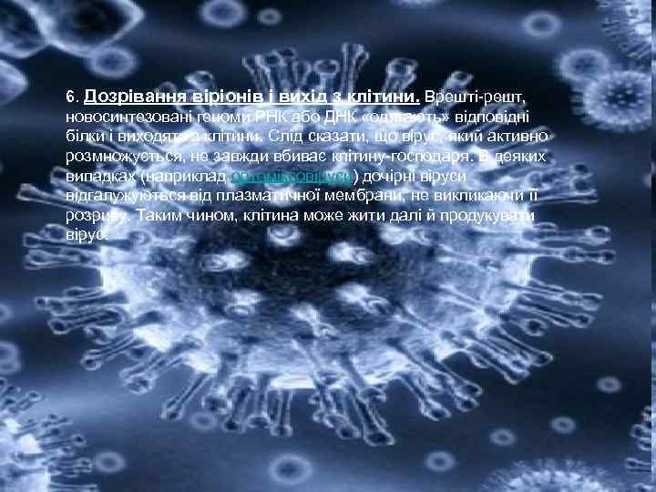 6. Дозрівання віріонів і вихід з клітини. Врешті-решт, новосинтезовані геноми РНК або ДНК «одягають»