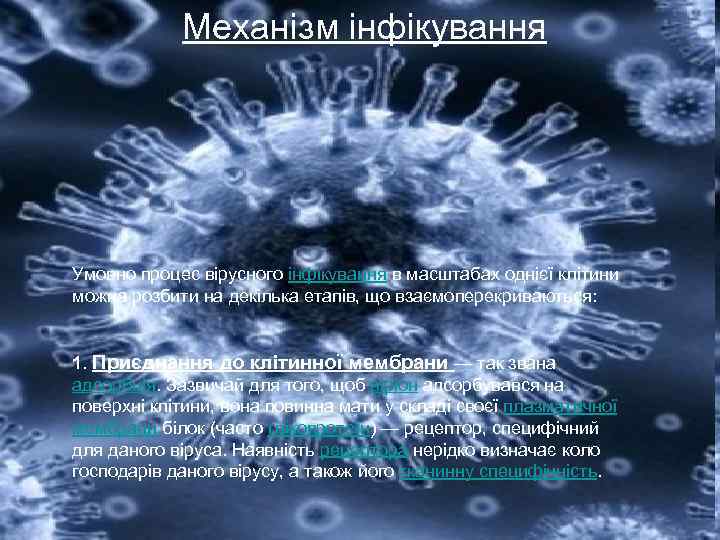  Механізм інфікування Умовно процес вірусного інфікування в масштабах однієї клітини можна розбити на