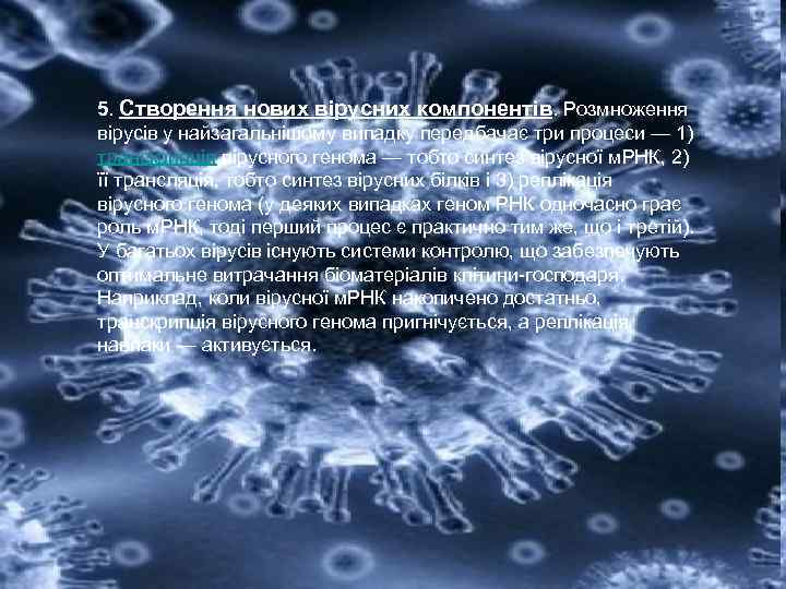 5. Створення нових вірусних компонентів. Розмноження вірусів у найзагальнішому випадку передбачає три процеси —