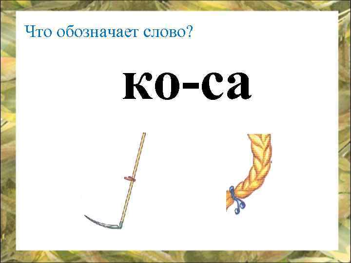 Что обозначает слово? ко-са 