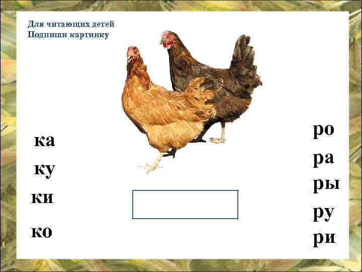 Для читающих детей Подпиши картинку ка ку ки ко ро ра ры ру ри