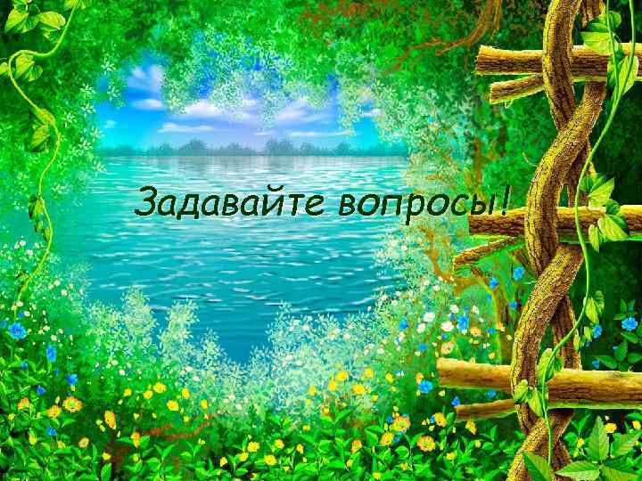 Задавайте вопросы! 
