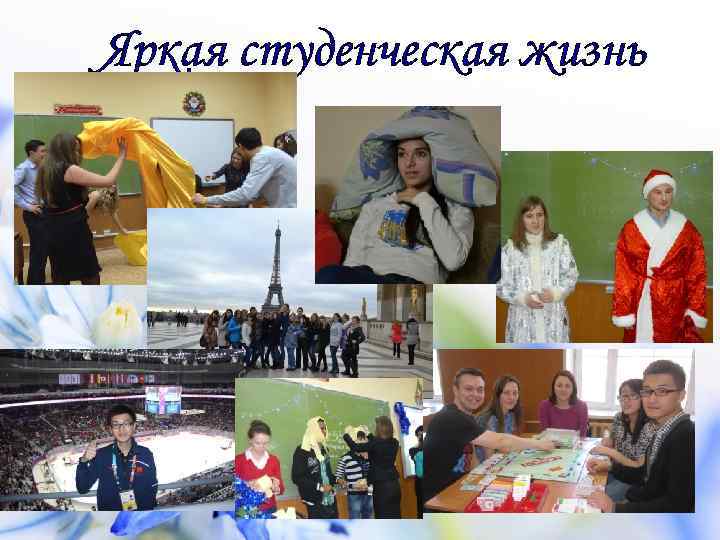 Яркая студенческая жизнь 