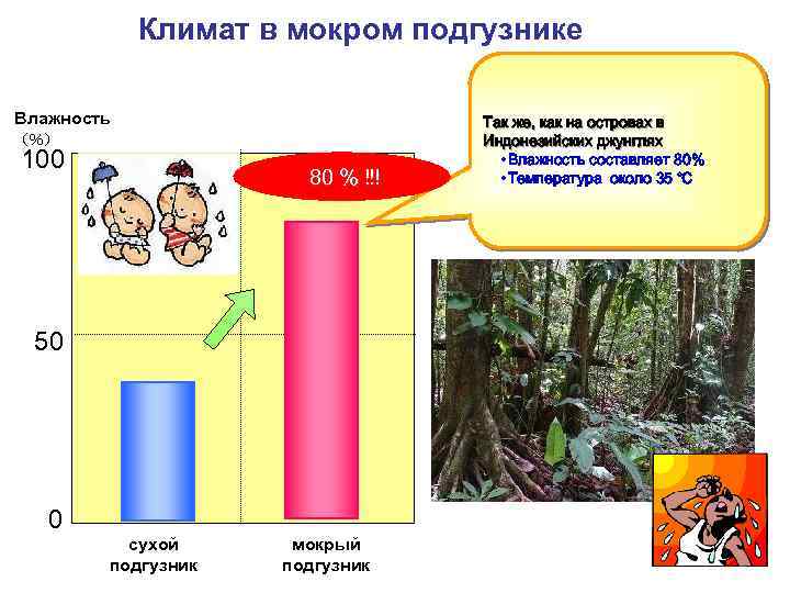 Климат в мокром подгузнике Влажность （％） 100 80 % !!! 50 0 сухой подгузник