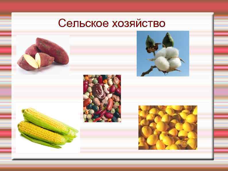 Сельское хозяйство 