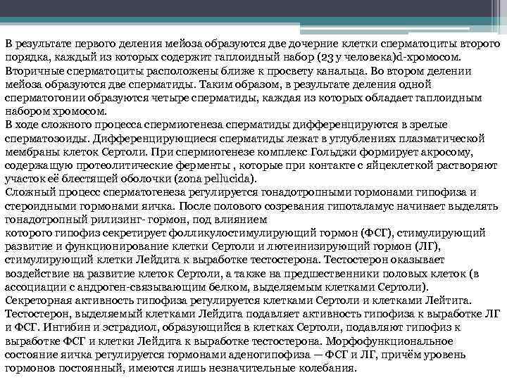 В результате первого деления мейоза образуются две дочерние клетки сперматоциты второго порядка, каждый из