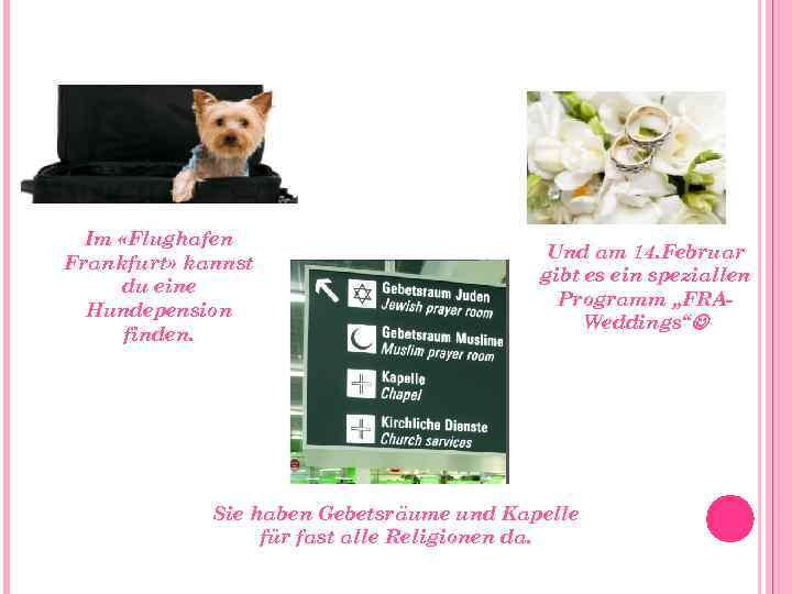 Im «Flughafen Frankfurt» kannst du eine Hundepension finden. Und am 14. Februar gibt es