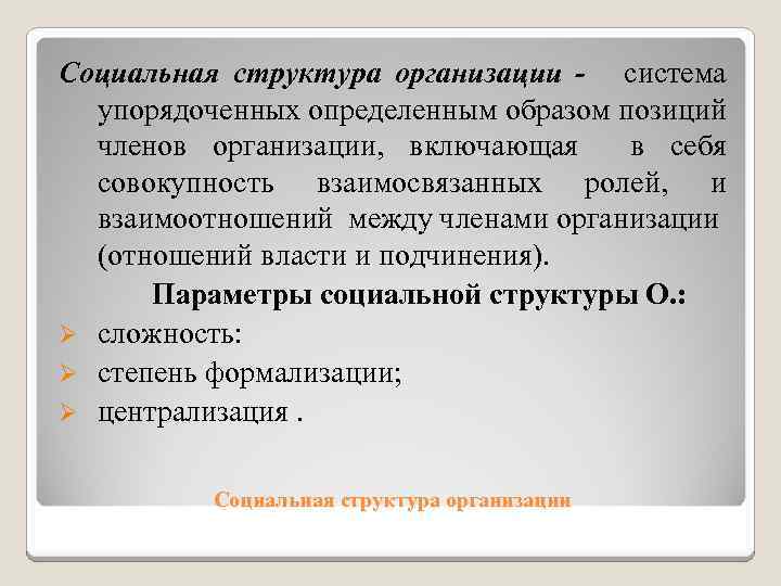 Социальная структура организации - система упорядоченных определенным образом позиций членов организации, включающая в себя